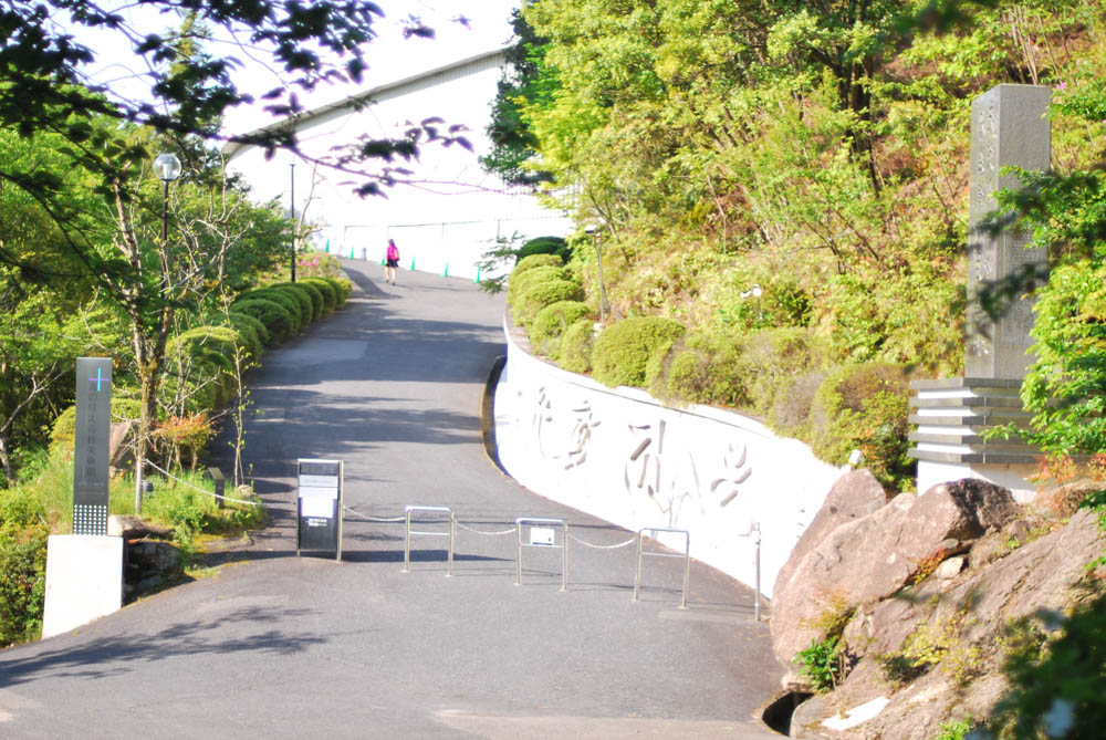 ナツメの木 広島 海の見える杜美術館 うみもりブログ